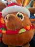 兜市精选 圣诞节儿童礼物圣诞老人公仔发光唱歌毛绒娃娃幼儿园玩具圣诞树 圣诞小鹿会唱歌发光 22厘米 实拍图