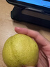京鲜生新疆库尔勒香梨5斤装 全母梨 单果100-120g 源头直发 包邮 实拍图