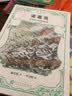 诸葛亮：草庐中的智谋家（名人传） 实拍图