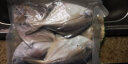 鲜到鲜得 冷冻东海银鲳鱼800g 平鱼 深海鱼 生鲜 鱼类 海鲜水产 烧烤食材 晒单实拍图