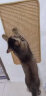 派乐特可贴宠物剑麻垫猫抓板贴墙耐磨不掉屑耐抓磨爪柱猫咪用品20*40cm 实拍图