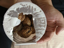十年梦纸皮核桃2024年新货新疆阿克苏特产生核桃孕妇专用薄皮奶香 (手捏即开)特级大果1000g 实拍图