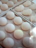 乾尊 蒸柜商用蒸饭柜家用蒸箱蒸饭车商用蒸饭机海鲜蒸柜电款燃气款防干烧食堂酒店 4盘智能定时（60人) 电压（备注）留言 实拍图