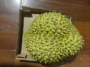 京鲜生 进口金枕头榴莲 巴掌榴莲 2-3斤 1个装  鲜果 生鲜 新鲜水果 实拍图