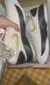 耐克男子实战篮球鞋冬季抗扭低帮NIKE HYPERDUNK 2017 LOW HV1793 170白/金属金/黑 46 实拍图