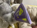 KimPets宠物伊丽莎白圈猫咪防舔头套狗狗防抓挠防咬项圈脖圈绝育驱虫用品 【轻盈无拘束】大眼萌萌 S(颈围15-21cm 适合0-6斤宠物) 实拍图