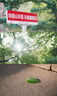 MEKE美科55mmf1.4自动对焦镜头大光圈apc-C半画幅适用微单Z卡口，E卡口，X卡口 索尼E口【基础套餐】 实拍图