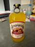 宾得宝（Bundaberg）含气葡萄柚汁饮料375ml*6玻璃瓶装  澳州原装进口发酵果汁气泡水 实拍图