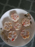 圣家椰蓉椰丝烘焙原料椰奶冻用椰肉蛋糕面包装饰椰蓉粉 5袋 实拍图