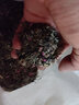 卓天耐寒花种多年生野花组合种子四季开花易种花籽庭院易种活室外花卉 矮生野花组合种子1斤 实拍图