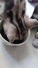 优趣猫粮全价粮通用成猫幼猫粮成年猫高蛋白营养天然英短蓝猫 无谷鲜肉粮cp40%高蛋白1.5kg*2袋 实拍图