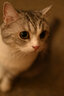 适马30mm F1.4 DC DN｜Contemporary 半画幅大光圈定焦镜头 微单人像特写风光 尼康Z口（半画幅） 官方标配（送主图配件） 实拍图