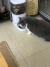 霍曼（Homerun）Real智能自动喂食器猫粮狗粮定时猫咪自动投食机（不锈钢碗） 实拍图
