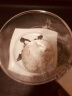 SP SAUCE面粉筛子手动家用手持半自动超细粉糖筛网烘焙过滤工具 手动杯式面粉筛 晒单实拍图