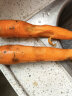 美邻惠享家山东寿光新鲜胡萝卜 4.5斤装 新鲜蔬菜带泥发货源头直发 实拍图