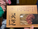 健神灵芝提取物破壁灵芝孢子粉增强免疫力营养滋补品 成人中老年免疫调节保健品 2.7g/袋*15袋/盒×1盒 实拍图