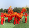 御马（YU MA）YM-WL9节红色烫金舞龙道具龙灯服装舞狮龙狮表演游龙 晒单实拍图