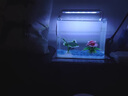 YEE鱼缸灯led灯水草灯防水水族箱节能防溅水支架灯水草灯专用观赏灯 三排【6W】灯长28cm（28-40cm鱼缸） 实拍图