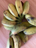 小米蕉 香蕉 新鲜水果 3斤装（买两件合发5斤） 晒单实拍图