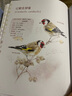 有翅膀的朋友：给孩子的鸟类观察知识手册 实拍图