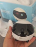 enabot EBO SE 全屋移动监控摄像头 远程实时操控 家用监控摄像 家人陪伴宠物监控ebo机器人 晒单实拍图