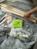 福美养蜂 蜜蜂育王工具全套中蜂人工养蜂取浆框蜂王棒移虫针王台杯 育王工具套装 实拍图