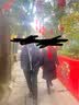 恒源祥纯羊毛围巾女秋冬男士新年礼物妈妈年会定制中国红围巾 实拍图