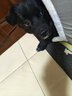 【冰仓直发】宠莱富科前狗狗疫苗四联狂犬疫苗成犬幼犬狗疫苗套装小狗疫苗 成犬基础套餐【四联*1+狂犬】+外驱 1支*1支 实拍图