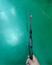 佳钓尼（JIADIAONI）BN纺车轮全金属线杯远投专用路亚轮路滑海钓矶竿渔轮鱼线轮子2000 实拍图