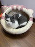 御宠坊猫窝四季通用冬季保暖狗窝封闭式猫屋睡觉垫小型犬宠物床猫咪用品 粉色猫咪A M号送软垫【15斤内猫咪 】 实拍图