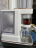 摩飞电器（Morphyrichards）即热式饮水机茶饮机 桌面办公室台式泡茶机 小型烧水泡茶一体机 家用煮茶器速热  MR6087 椰奶白（泡茶饮水双模式） 即热型 实拍图