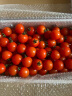 京鲜生 千禧圣女果 小西红柿 樱桃番茄 约1.5kg  生鲜水果 晒单实拍图