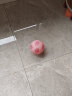 迪卡侬（DECATHLON）2023年新足球儿童皮球训练【橡胶球】【1号球】粉色-4667083 实拍图
