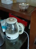 小熊（Bear） 养生壶煮茶器多功能煮茶水壶蒸汽玻璃壶喷淋式蒸茶器煮花茶黑茶烧水壶电热水壶保温壶ZCQ-A10W5 ZCQ-A10W5【 米色 微电脑式 】 1L 实拍图