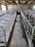 OENY 母猪定位栏2.5复合板限位栏5位10位养猪养殖设备猪产床保育床 2.5热镀70宽十位带槽（送货上门） 晒单实拍图