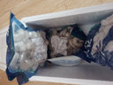 【顺丰快递】虾仁 虾仁冷冻 青虾仁鲜冻白虾仁去虾线海鲜水产 精选大号虾仁每包 350g(净重)  3包【已去虾线】 实拍图