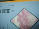 诗画共读 陶渊明诗选 石涛插图版 中信出版社 实拍图