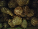 粮心牧场牛奶小芋头 4.5-5斤彩箱装 山东毛芋头 香芋 新鲜蔬菜 源头直发 晒单实拍图