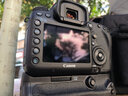蒂森特（dste）BG-E11 续航电池盒 佳适用于 能EOS  5D3 竖拍手柄  5DMark Ⅲ 5DsR 5DS单反相机  实拍图