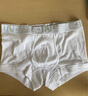 C-IN2 男士精梳棉性感青年简约平角内裤低腰透气四角裤 4023 白色100- 1条 L 适合2尺6-2尺7腰围（34-36码） 实拍图