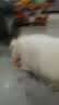 养只宠物（YOUNGER PET）狗狗嘴套防咬防叫防乱吃口罩小型犬宠物嘴罩泰迪用品大型狗套狗罩 尼龙绑带狗嘴套 6号（嘴围32cm以内55-70斤） 实拍图