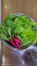 寿禾 天津沙窝萝卜种子大全水果青罗卜春冬季长白寿光蔬菜菜籽种孑 9种蔬菜种子套餐 实拍图
