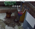 鸿克篮网加粗篮球网兜篮球框网耐用防晒防雨标准篮球筐网2只装 两年用坏换新-耐用加粗篮球网 13扣(一对) 实拍图
