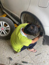 博世（BOSCH）刹车前片海马M3丘比特3北京E系EV160EV200E150EV绅宝X25昌河Q25 实拍图