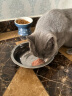 珍致（FancyFeast）猫罐头 普瑞纳泰国进口猫食品宠物成幼猫湿粮金枪鱼肉猫零食24罐 混搭组合24罐(85g*24罐) 晒单实拍图