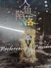 斜阳（百万读者公认现象级译本《人间失格》译者杨伟倾情献译） 小说 实拍图