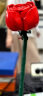 乐高（LEGO）积木 ICONS10328 玫瑰花束 新品手捧花送女友礼物【D2C限定款】 晒单实拍图