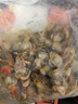 莲山九鲜新鲜冷冻扇贝肉蒜蓉粉丝扇贝生鲜贝类海鲜烧烤火锅食材 扇贝肉 1kg 实拍图