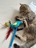 赞宠蓝色小鳄鱼摇摇绳猫玩具猫咪磨牙棒逗猫棒自嗨解闷耐咬小猫幼猫 实拍图