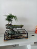 流水趣 陶瓷假山摆件缸造景新中式禅意桌面客厅办公开业乔迁玄关装饰 高山流水摆件（绿植＋青苔） 实拍图